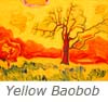 Yellow Baobob
